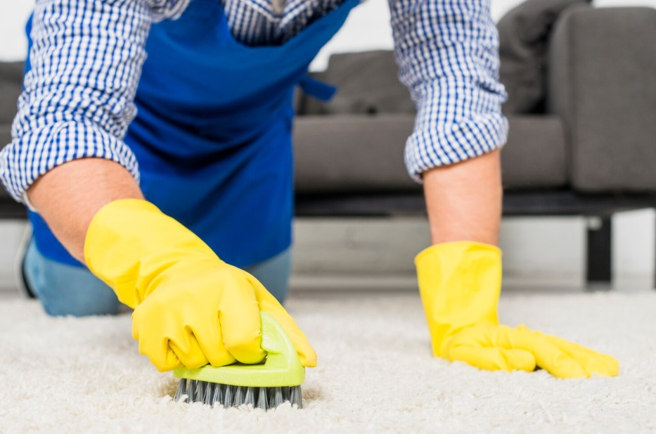 5 Reasons Why Professional Carpet Cleaning is Essential for Allen, TX Homes