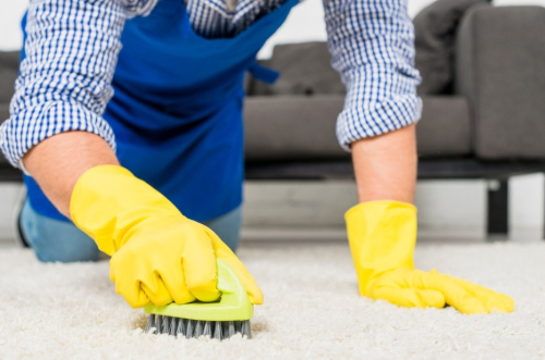 5 Reasons Why Professional Carpet Cleaning is Essential for Allen, TX Homes